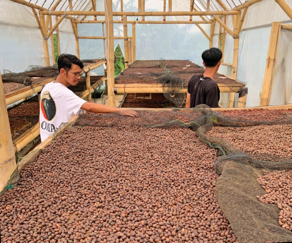 Kolaborasi Dan Regenerasi Petani Kopi